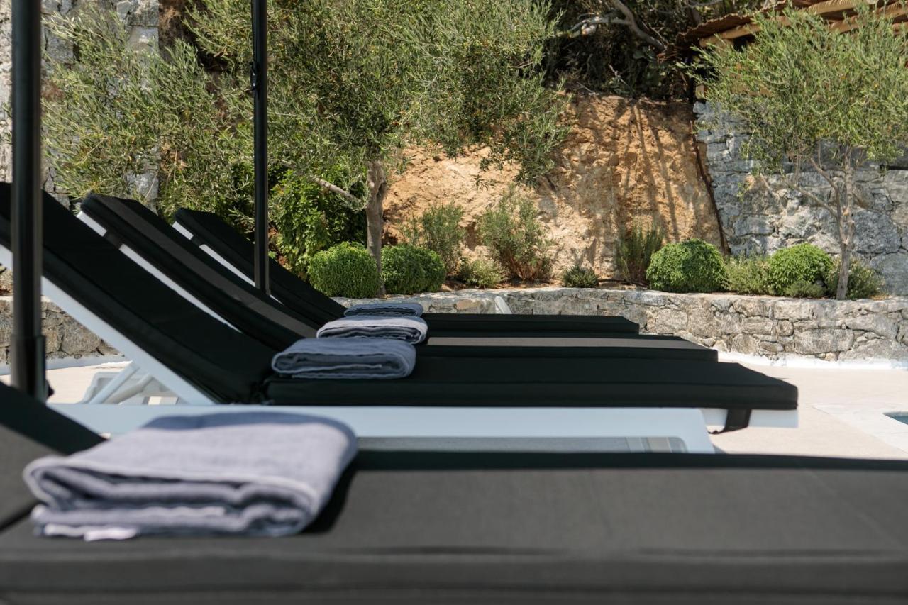 Wow Panoramic View Deluxe Villas Agkidia エクステリア 写真